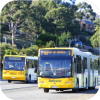 Australia Bus Photo Index